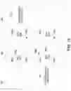Fig. 11 - Partial reconfiguration for Network-on-Chip (NoC)