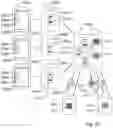 Fig. 16 - System and method for management of confidential data