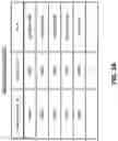 Fig. 06 - Multiple domain authentication using data management and storage node