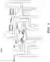 Fig. 06 - Automatic information exchange between personal electronic devices upon determination of a business setting