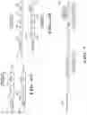 Fig. 07 - System and method for peer-to-peer communication in cellular systems