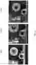 Fig. 13 - MULTI-RANGE IMAGING SYSTEM AND METHOD