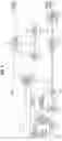 Fig. 08 - Edge detection signal processing