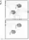 Fig. 07 - Connecting and using building data acquired from mobile devices