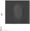 Fig. 09 - Method and device for acquiring and displaying an immunofluorescence image of a biological sample