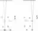 Fig. 03 - Active-pixel image sensor