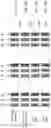 Fig. 19 - Three-dimensional image reconstruction using multi-layer data acquisition