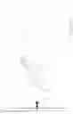Fig. 22 - Display for three-dimensional image