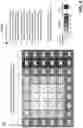 Fig. 09 - System and method for foveated compression of image frames in a system on a chip