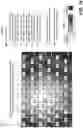 Fig. 15 - System and method for foveated compression of image frames in a system on a chip