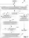 Fig. 08 - METHOD AND SYSTEM FOR DETERMINING A FLOW RATE OF A FUGITIVE FLUID PLUME