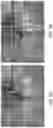 Fig. 12 - Hybrid cubemap projection for 360-degree video coding