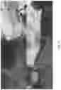 Fig. 13 - Hybrid cubemap projection for 360-degree video coding