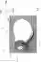 Fig. 02 - Ear pad and earphone using the same