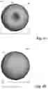 Fig. 07 - Zeolitic material for improving loudspeaker performance