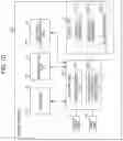Fig. 11 - Content distribution server and content distribution method