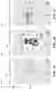 Fig. 04 - Location-based note sharing