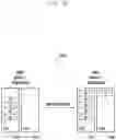 Fig. 16 - Method and apparatus for processing data for packet duplication