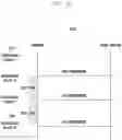 Fig. 23 - Method and apparatus for processing data for packet duplication
