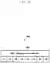 Fig. 37 - Method and apparatus for processing data for packet duplication