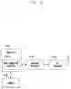 Fig. 12 - Method and apparatus for reporting selected PLMN of RRC-inactive mode UE in next-generation communication system