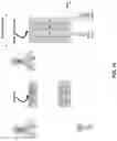 Fig. 14 - Beamformed paging transmission