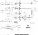 Fig. 01 - Neutral host architecture for a distributed antenna system