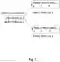 Fig. 02 - Efficient control signaling using common search space