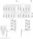 Fig. 26 - Coherent detection of large physical random access control channel (PRACH) delays