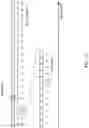 Fig. 12 - User terminal and radio communication method