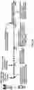Fig. 28 - Transmission structure with beamforming for a radio system