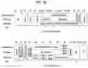 Fig. 11 - Method and device for performing uplink transmission after receiving trigger frame in wireless LAN system