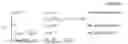Fig. 03 - THE METHOD AND APPARATUS FOR TRANSMITTING AND RECEIVING A RANDOM ACCESS CHANNEL IN WIRELESS COMMUNICATION SYSTEM