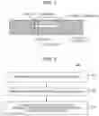 Fig. 02 - User equipment, eNode B and wireless communication method