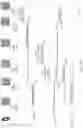 Fig. 10 - Multicast idle mode behavior and paging