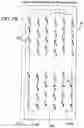Fig. 07 - LED lighting system