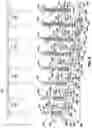 Fig. 07 - PLANT CULTIVATION SYSTEM