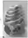 Fig. 03 - Red-yellow striped peppers