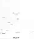 Fig. 02 - Quantitative trait loci (QTL) associated with shatter resistant capsules in sesame and uses thereof