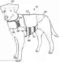 Fig. 01 - PRESSURE-APPLYING GARMENT FOR ANIMALS