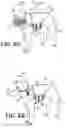 Fig. 08 - PRESSURE-APPLYING GARMENT FOR ANIMALS