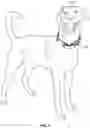 Fig. 02 - Animal restraint