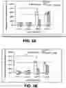 Fig. 04 - DNA sequence that increases odorant receptor representation in the olfactory system