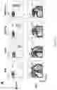 Fig. 02 - Genetically modified non-human animals and methods of use thereof