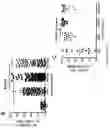 Fig. 03 - Genetically modified non-human animals and methods of use thereof