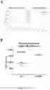 Fig. 33 - Genetically modified non-human animals and methods of use thereof