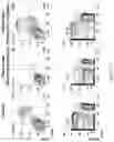 Fig. 34 - Genetically modified non-human animals and methods of use thereof