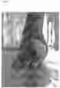 Fig. 02 - Substance and composition for veterinary purpose