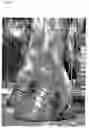 Fig. 03 - Substance and composition for veterinary purpose