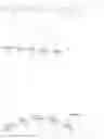 Fig. 06 - Stable inoculant compositions comprising paraffin oils/waxes
